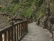 Древняя деревянная дорога (Китай)