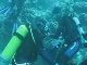 Diving in Jeddah (沙特阿拉伯)