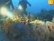 Diving in Omis (克罗地亚)