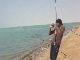Рыбалка в Джидде (Саудовская Аравия)