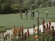 Golf in India (印度)