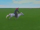 Horse Riding (中国)
