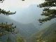 Реликтовый лес Перучица (Босния и Герцеговина)