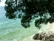 Pine beaches (克罗地亚)