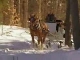 Sleigh Rides in New Hampshire (美国)