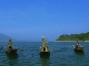 Озеро Тайпин (Китай)