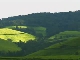 Tea plantations in Burundi (布隆迪)