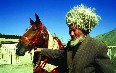 土库曼斯坦 图片
