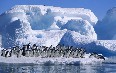 南極大陸 写真