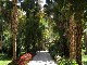 Остров Китченера и Асуанский ботанический сад (Египет)