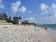 Cottesloe Beach (澳大利亚)
