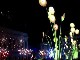 Фестиваль света в Лионе (Франция)