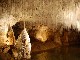 Пещеры Коранж (Франция)