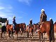 Horseback Vineyard Tours (オーストラリア)
