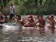  International Dragon Boat Race in Toronto (加拿大)