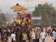 Lao Elephant Festival (老挝)