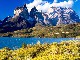 Patagonia Chilena (智利)