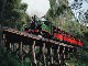Puffing Billy railway (澳大利亚)