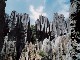Каменный лес Шилинь (Китай)