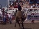 Small Town Rodeo (加拿大)